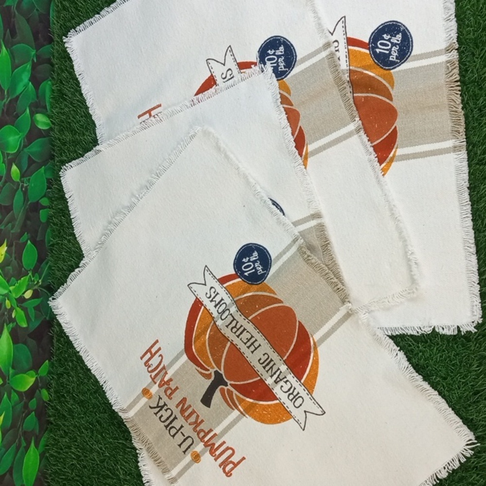 🍂 DII Pumpkin Patch Printed Placemats